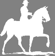 picture of rider on horse